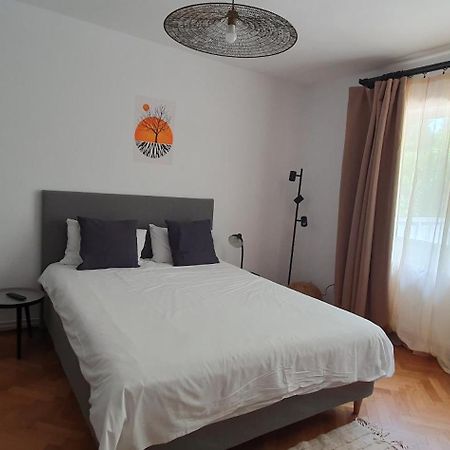 The Pines Serviced Apartments Braşov Eksteriør bilde