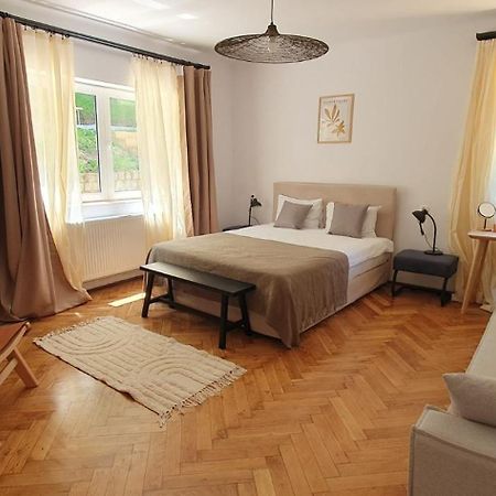 The Pines Serviced Apartments Braşov Eksteriør bilde