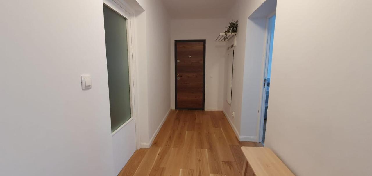The Pines Serviced Apartments Braşov Eksteriør bilde