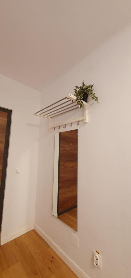 The Pines Serviced Apartments Braşov Eksteriør bilde
