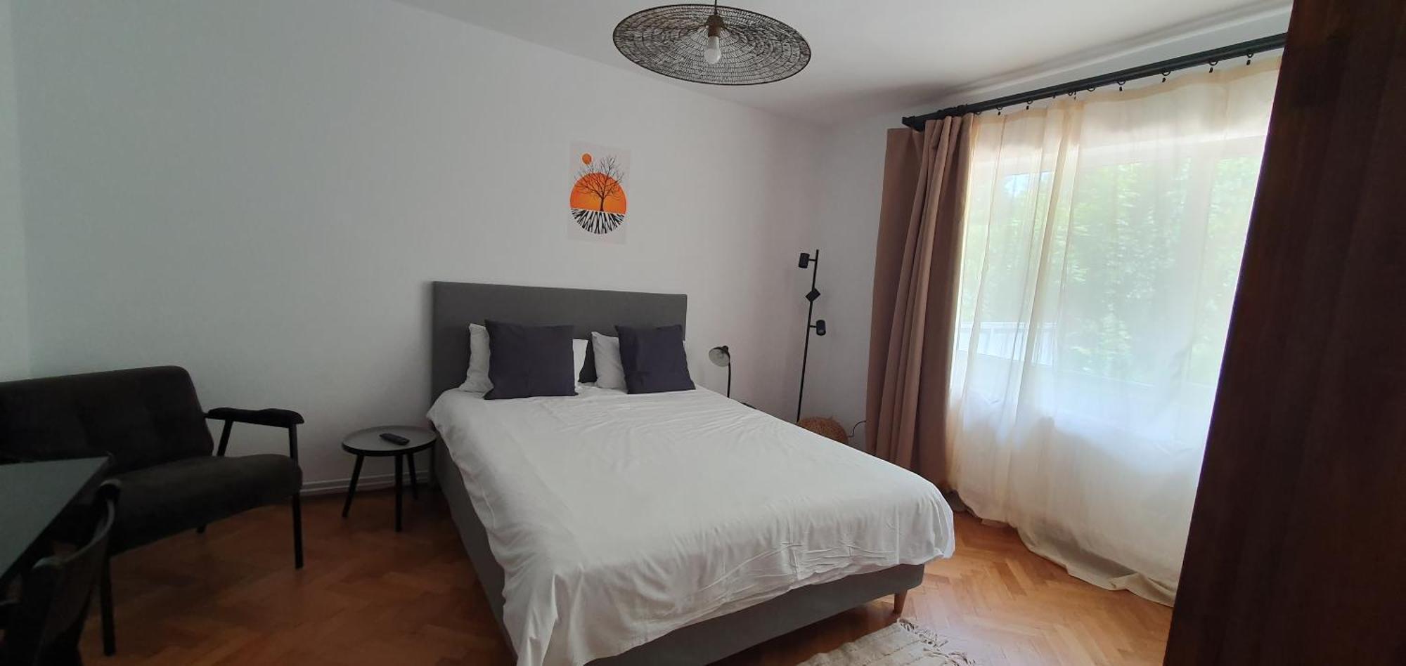 The Pines Serviced Apartments Braşov Eksteriør bilde